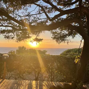  Casa vacanze Dei Ginepri